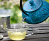 Cast Iron Teapot Lotus Flower 900ml