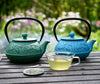 Cast Iron Teapot Lotus Flower 900ml