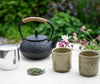 Cast Iron Teapot Pine Needle