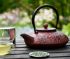 Zen Minded Cast Iron Teapot Elephant 1.1l 6