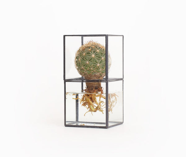 1012 Terra Hydro 80:80 Terrarium