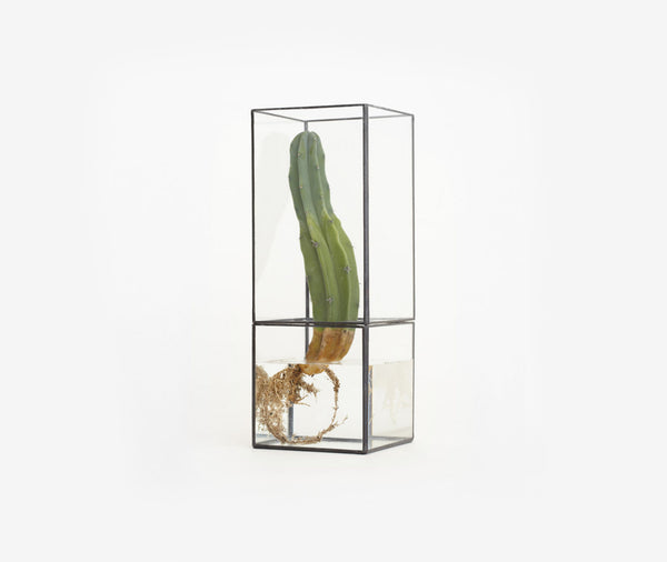 1012 Terra Hydro 175:100 Terrarium