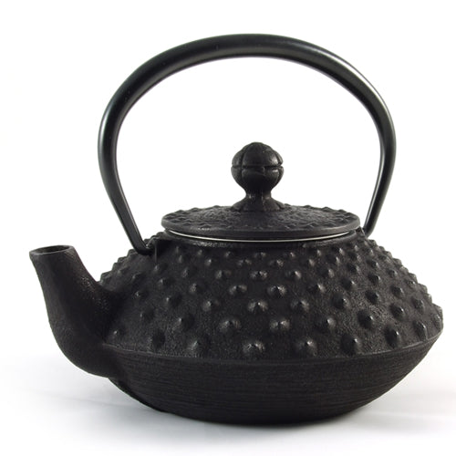 Iwachu Iwachu Cast Iron Teapot With Hobnail Pattern 350ml