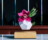 Flyte Lyfe Planter Oak 4