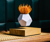 Flyte Lyfe Planter Oak 5