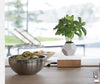 Flyte Lyfe Planter Walnut 7