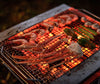 Snow Peak Fireplace Grill Large 4