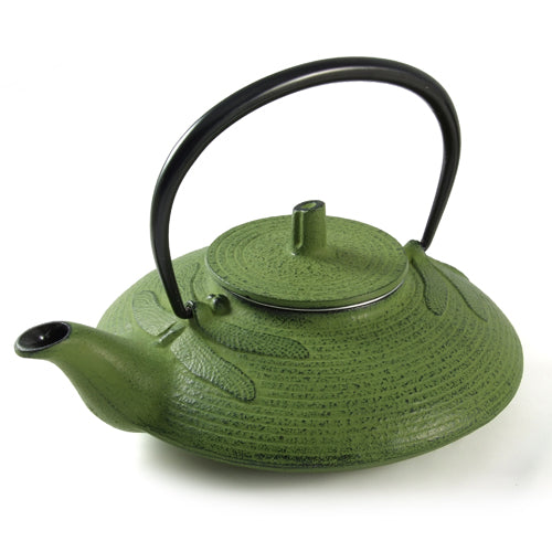 Iwachu Iwachu Cast Iron Teapot With Dragonfly Pattern In Green