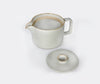 Hasami Porcelain Teapot Clear 2