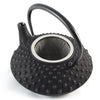 Iwachu Iwachu Cast Iron Teapot With Hobnail Pattern 350ml  2