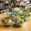 Zen Minded Japanese Ceramic Bowl Gift Set Osaka 2