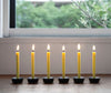 Vela Takazawa nanohana velas de canola 40 conjunto 5